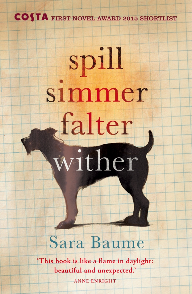 spill-simmer-falter-wither-sara-baume